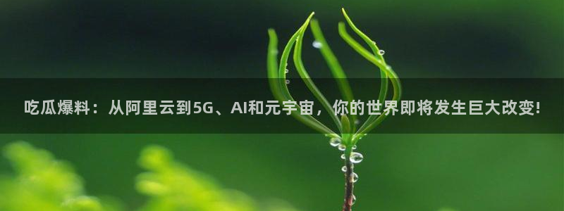 黑料揭秘后续进展
