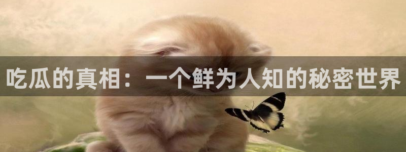 黑料吃瓜今日更新