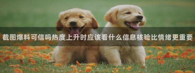 主播黑料真伪核验