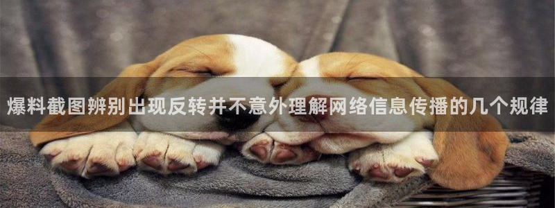 热门黑料原始来源