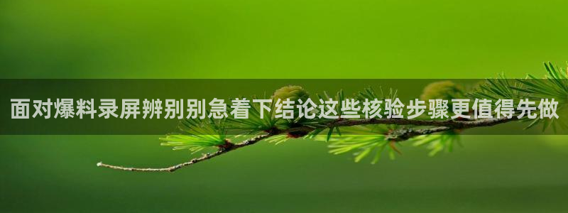 最新黑料证据梳理