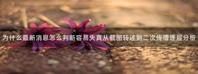 娱乐黑料今日更新